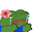 Emoji pepe_droite