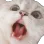 Emoji Scream