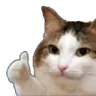 Emoji OKCAT