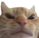 Emoji angrycat