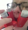 Emoji UUUFFF