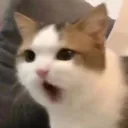 Emoji pogmew