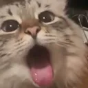 Emoji maaaaw