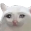 Emoji tristechat