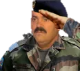 Emoji salut