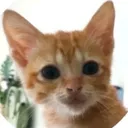 Emoji RIP_peachy