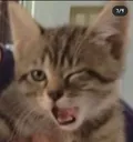 Emoji hehe