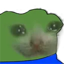 Emoji lfm_PepeSad