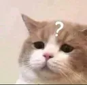Emoji catconfused