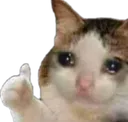 Emoji nice