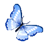 Emoji papillon