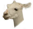 Emoji lama