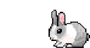 Emoji Bunny