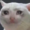 Emoji catcry