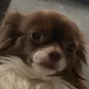Emoji emoji_1