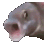 Emoji CRDFishPog