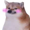 Emoji CRDShibaShy