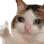 Emoji CRDCatSadThumb