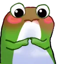 Emoji CRDFrogShy