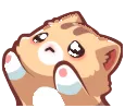 Emoji CRDNekoWantHug