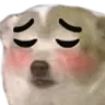 Emoji CRDDogShyOops