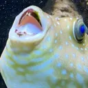 Emoji emoji_3