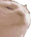 Emoji 0b29963e90764b78811e108b7529e39c