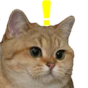 Emoji whatcat1
