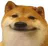 Emoji dogy