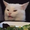 Emoji catwtf