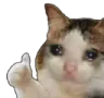 Emoji imok
