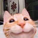 Emoji AC__chat_sourire