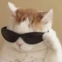 Emoji catsunglasses