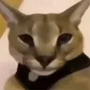 Emoji hecker