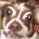 Emoji mrbubzcursed