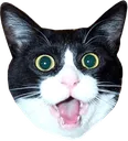 Emoji 5a5a8d9614d8c4188e0b08f0