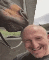 Emoji 3_HorseLick