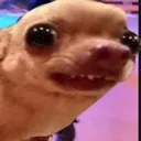 Emoji Dog