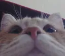 Emoji mrcookiepeak