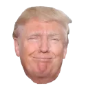 Emoji trump