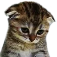 Emoji tristesse