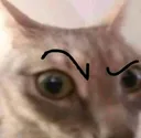 Emoji caught_in_4kcat