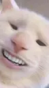 Emoji emoji_17
