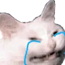 Emoji crycat