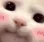 Emoji CRDCatCuteShy