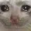 Emoji CRDCatSadCry