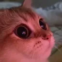 Emoji minou