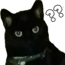 Emoji 6_Catwhat