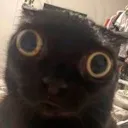 Emoji chatchoqu