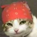 Emoji ricardo_milos_cat